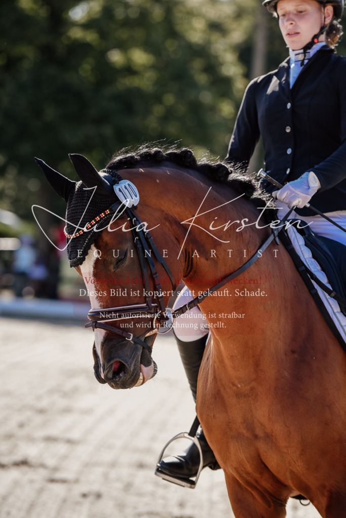 DSC_0328 | Pferde- und Turnierfotografie in Westsachsen. Pferdeportraits, Auftragszeichnungen und intuitive Kunst.