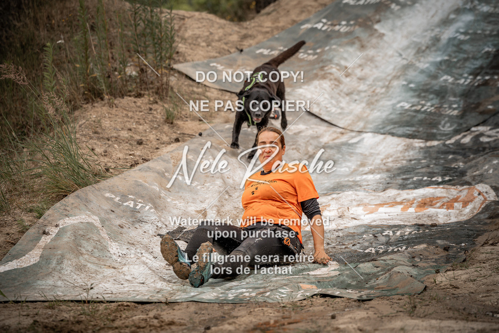 nelerasche_sa0800-1000_72 | nelerasche