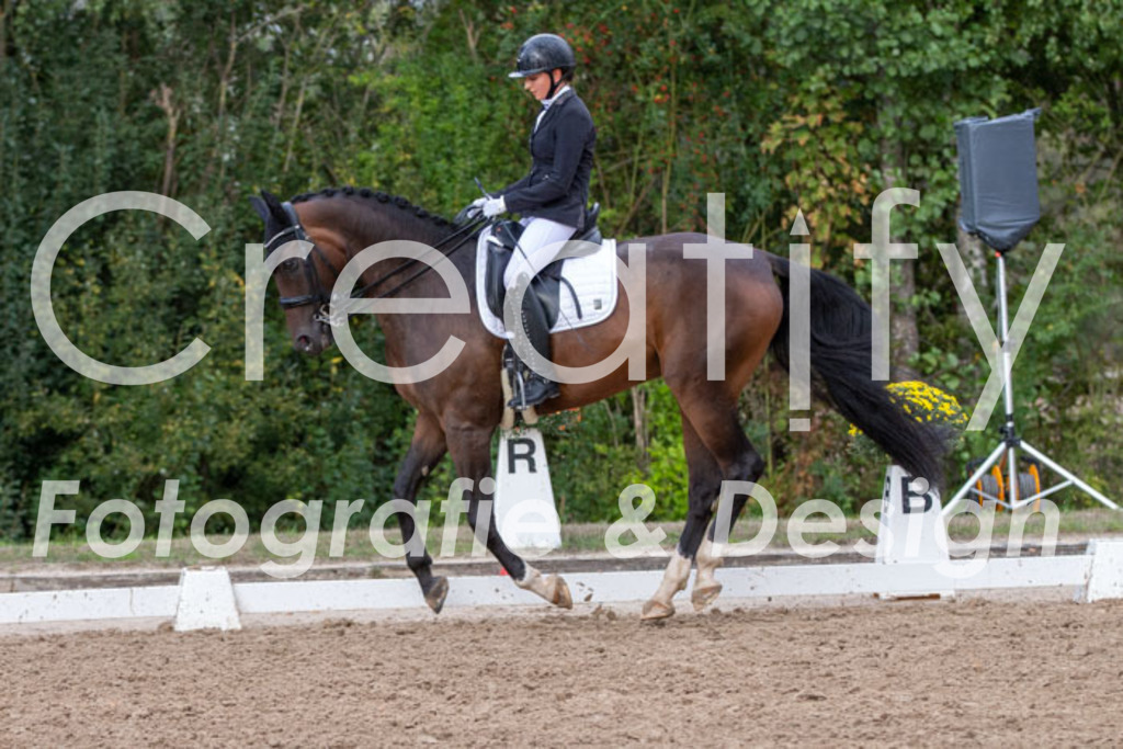 IMG_5889 | Creatify Fotografie