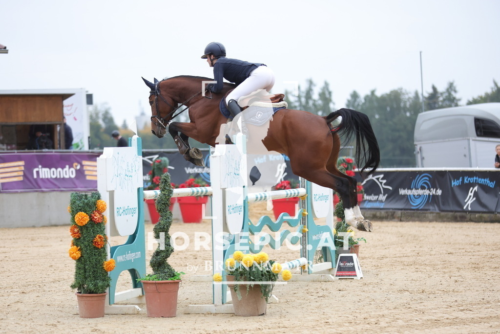 0P6A6759 | Willkommen bei Brunnmayr - Design & Fotografie – Ihrem Spezialisten für Reitturniere und Pferdeveranstaltungen in Oberösterreich, Salzburg und Bayern! Seit über 17 Jahren sind wir leidenschaftlich dabei.