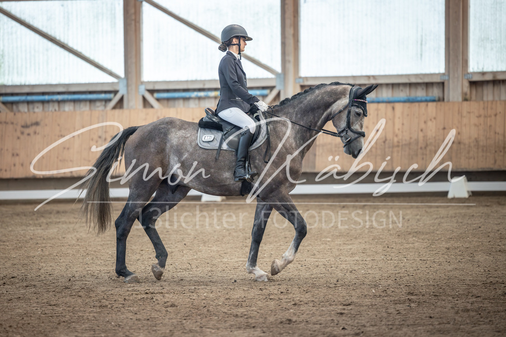 20251011-_3LI7572 | Tierfotografie Pferde, Hunde, Katzen, Haustiere.
Turnierfotografie Reitturniere, Reiten, Springreiten, Dressur in Hanau, dem Main-Kinzig-Kreis und dem Rhein-Main- Gebiet um Frankfurt