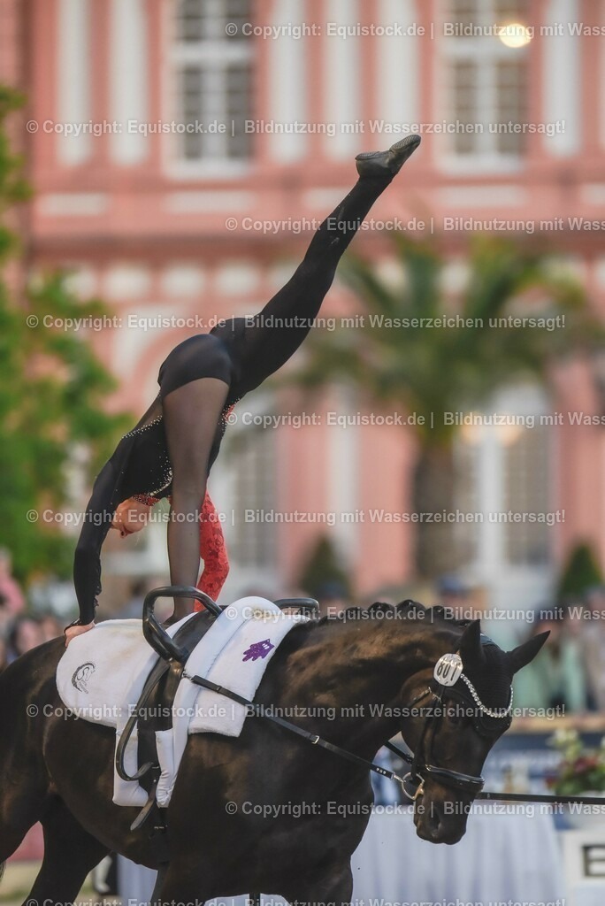20230527_Voltigieren_NASPA_Flutlicht_0231 | equistock