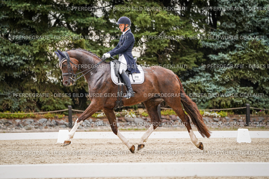 DSC07783 | Pferdegrafie