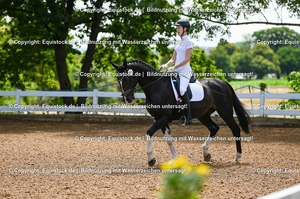 20230716_03_Dressurprfg. Kl.L - Tr._0015 | equistock
