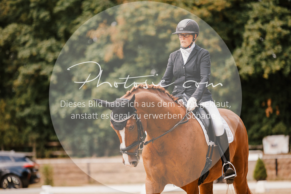 3I6A6017 | Stimmungsvolle Portraits und Reitsportfotografie im Ruhrgebiet und im Münsterland.

Pferdefotografie, Hundefotografie, Tierfotografie, Reportagen, Portraits von Tier und Mensch, Turnierfotografie in Bochum, Recklinghausen, Marl, Haltern am See, Dülmen.. - Realisiert mit Pictrs.com