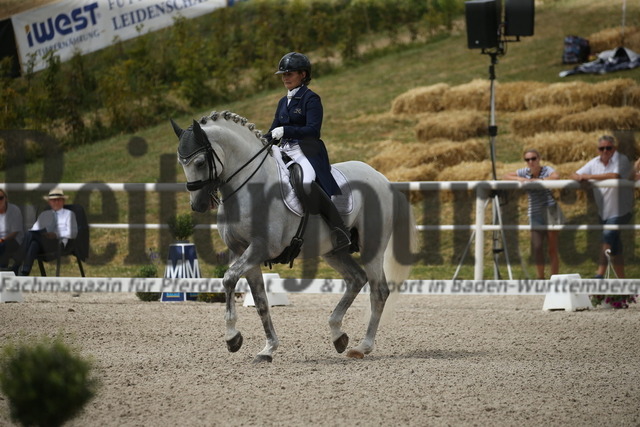 Birkhof_2022_Prfg_Nr_07_Louisdor-Preis_Katrin Burger_Incrivel 3 (8) | Alle Fotos der Reiterjournal Fotografin Doris Matthaes im Reiterjournal Online-Fotoshop. - Realisiert mit Pictrs.com