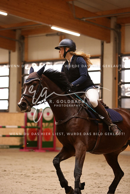 1J2A2567Lotte Zopff_ Namika 6_ Kn394_ Hohen Wieschendorf_ Glantz | Foto- und Videografie für alles rund ums Pferd. Hochwertige Bilder und Videos vom Spring- und Dressurreiten, Voltigieren & mehr. Jetzt aktuelle Veranstaltungen und Preise im Shop ansehen. - Realisiert mit Pictrs.com