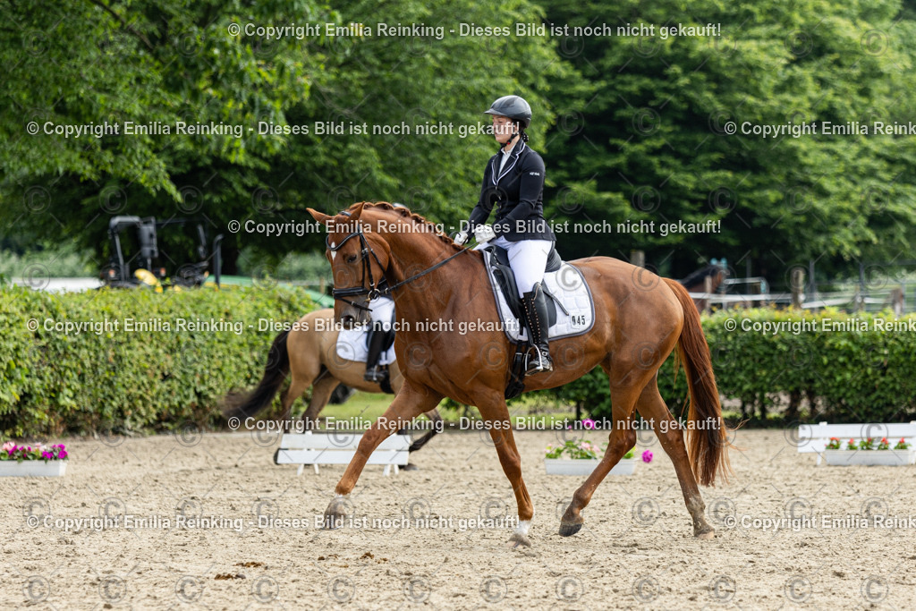 CL5A5025 | Emilia Reinking Fotografie - Realisiert mit Pictrs.com