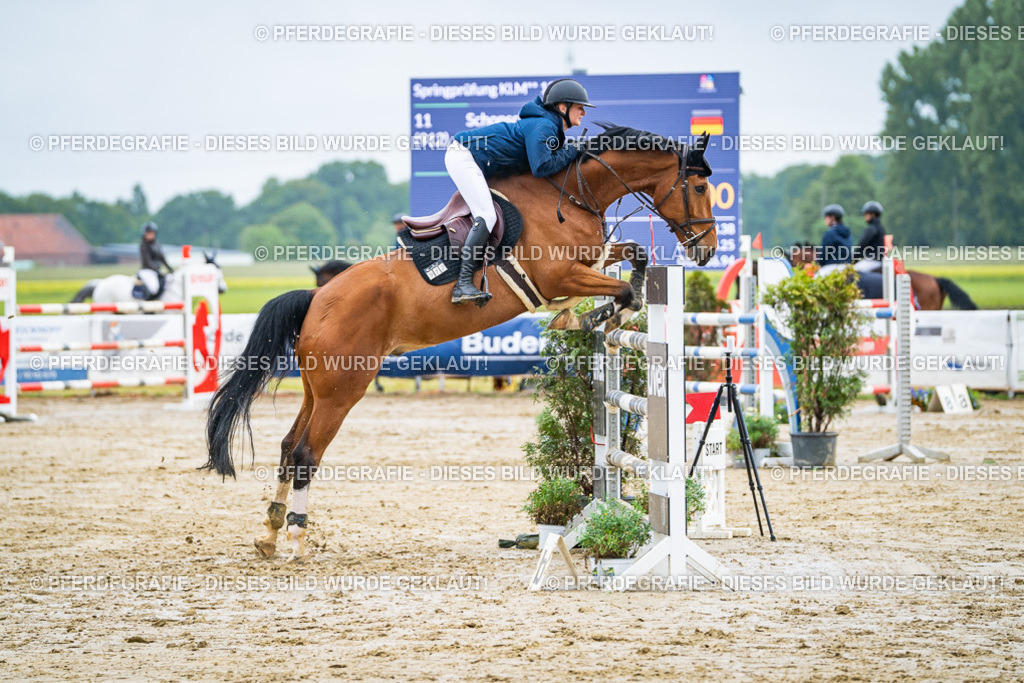 DSC03733 | Pferdegrafie