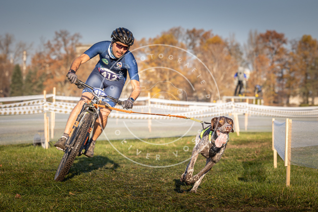 CaniXpix_0L8A4081 | Hundefotografie, Tierfotograf, Pfotenfotografie, Fotoshooting Hund, Hunde Portrait, Hundesport, Hundeportraits, Heideshooting, Hunde, Sportfotograf, Hundefotograf, Turnierhundsport, THS,  - Realisiert mit Pictrs.com