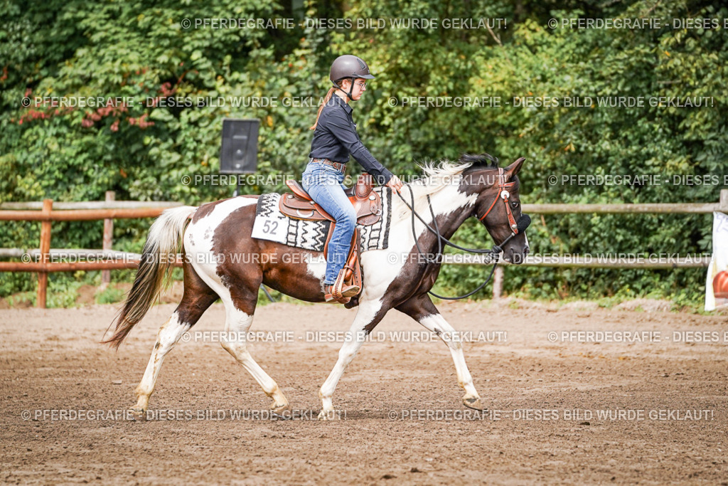 DSC07770 | Pferdegrafie