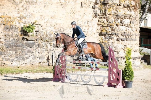 2B4A0650 | pixelfaenger - Realisiert mit Pictrs.com