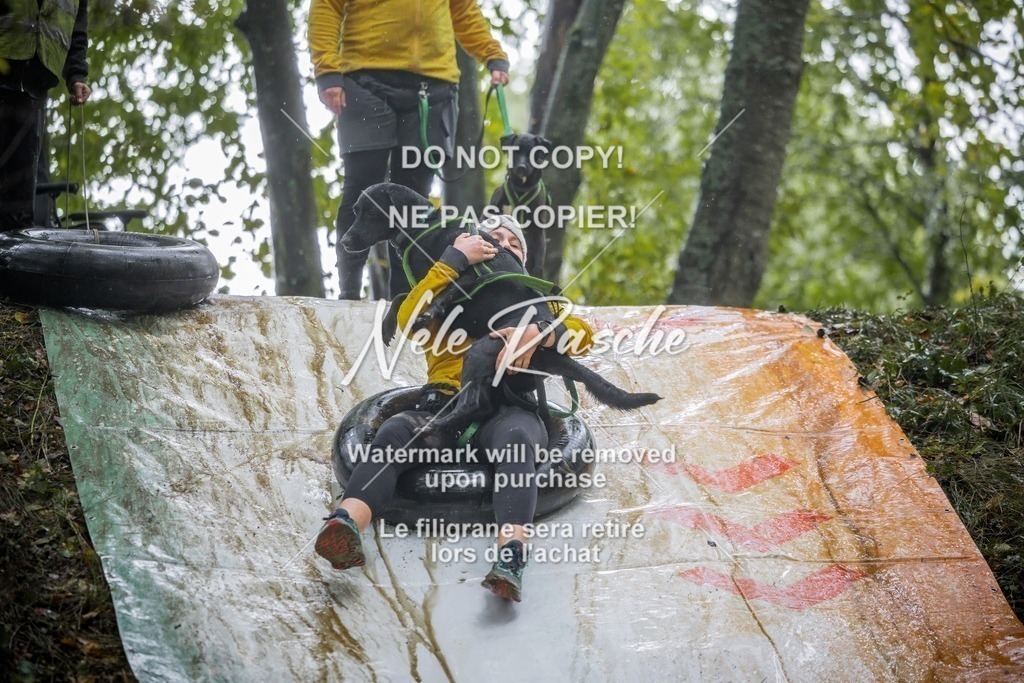 nelerasche_Hunsrück_Sa1230-1300_156-final | nelerasche