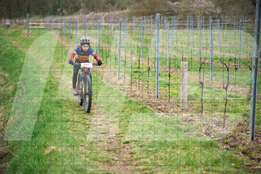 34. KTM Kamptal Trophy  | ZÖBING, Österreich – 2026-03-28: 34. KTM Kamptal TrophyFoto: © 2026 Martin Bihounek - MB Creative e.U.