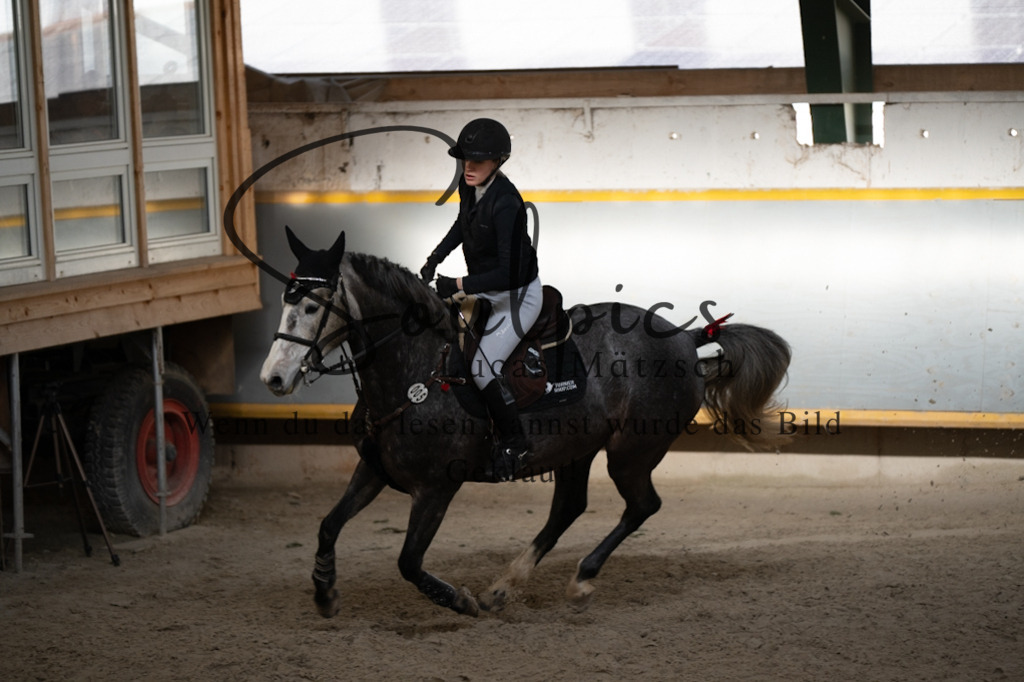 A7V02276 | Pferdefotograf