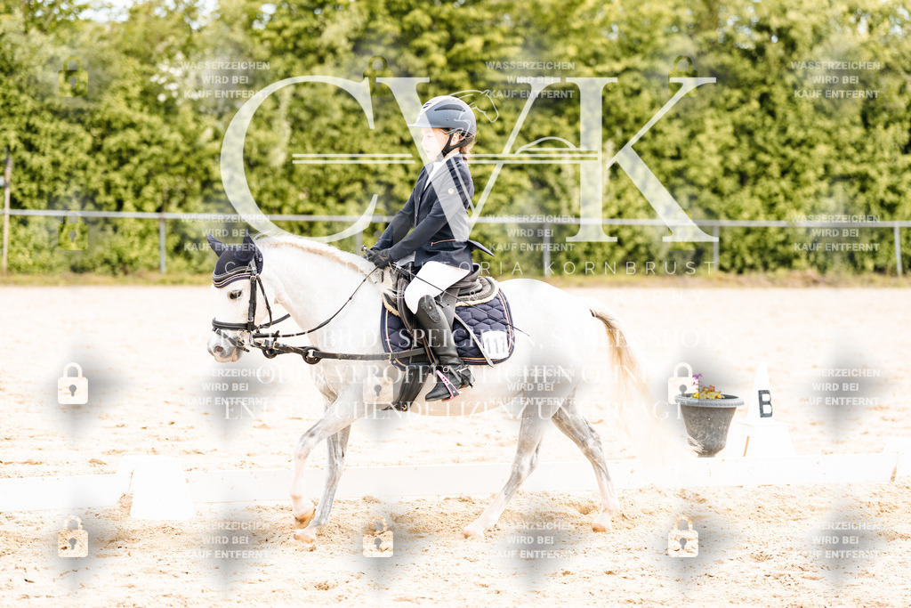 CK904680 | Turnierfotografie Pferdefotografie Trier Rheinland-Pfalz Pferdesport Reitsport Tierfotografie Sportfotografie Pferdevideo Pferdevideografie Equestrianvideography equestrianphotography  - Realisiert mit Pictrs.com