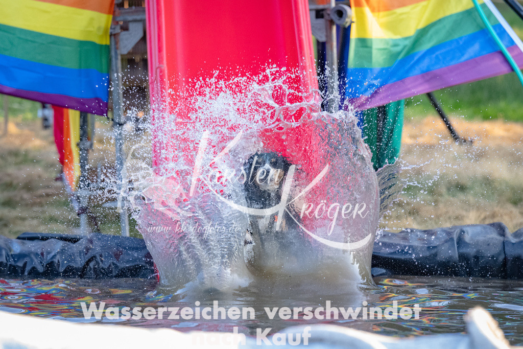 1846_ZZ91606 | kk-dogfotos