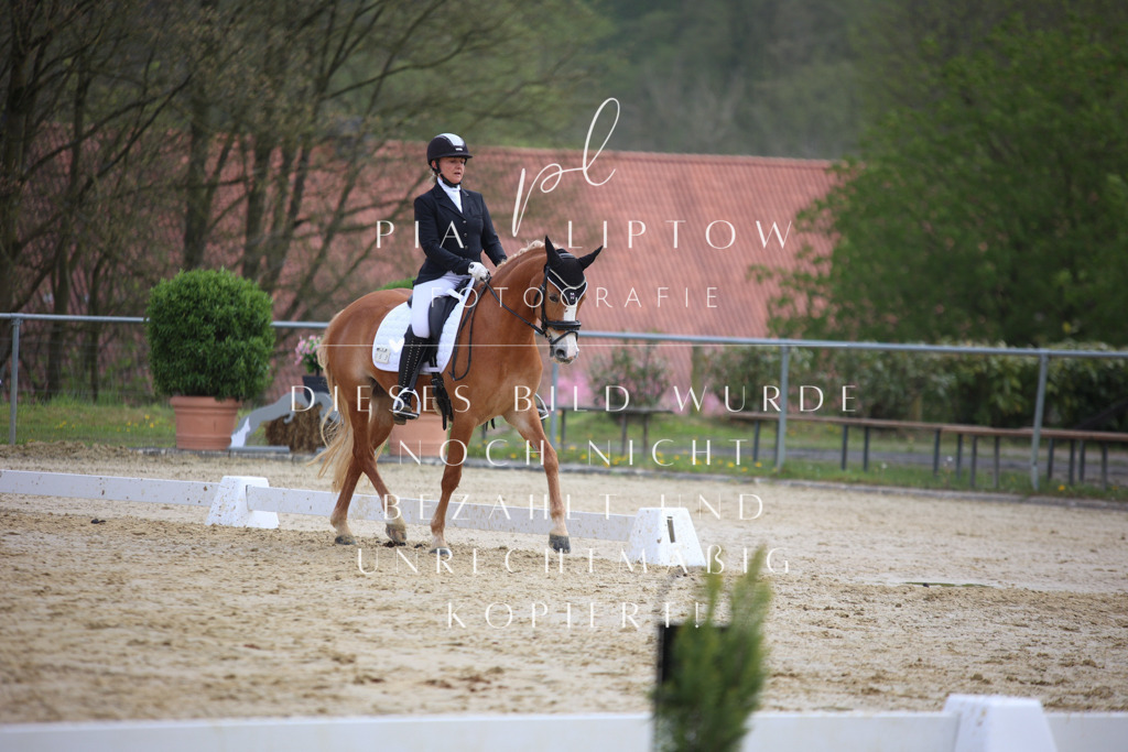 IMGT5605 | pl-fotografie