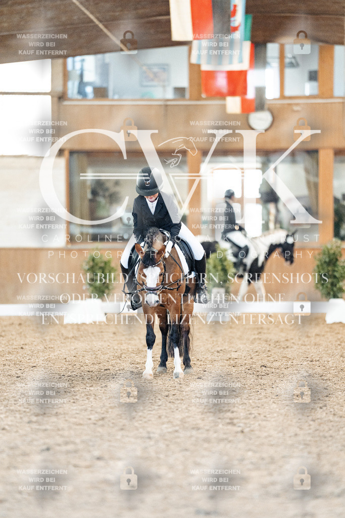 CK907581 | Turnierfotografie Pferdefotografie Trier Rheinland-Pfalz Pferdesport Reitsport Tierfotografie Sportfotografie Pferdevideo Pferdevideografie Equestrianvideography equestrianphotography  - Realized with Pictrs.com