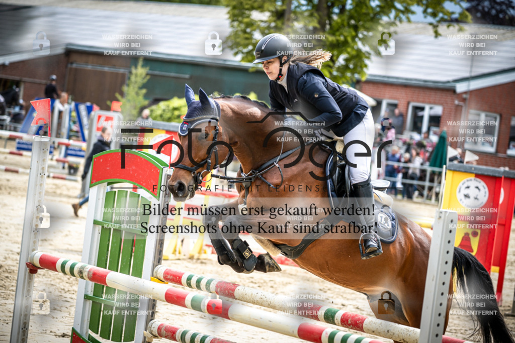 DOS_1231 | Reitturnier Lüdinghausen - Realisiert mit Pictrs.com