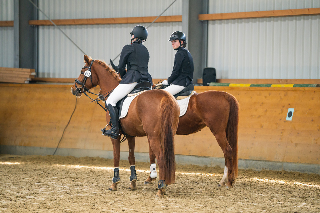 DSC01530 | Pferdegrafie