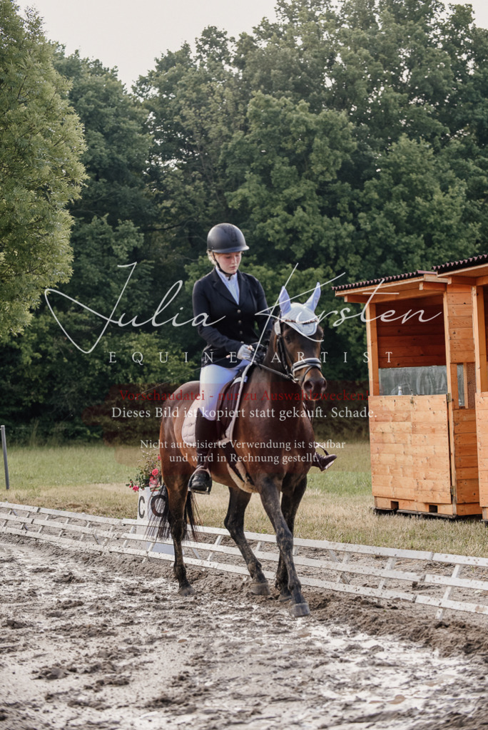 DSC_8139 | Pferde- und Turnierfotografie in Westsachsen. Pferdeportraits, Auftragszeichnungen und intuitive Kunst.
