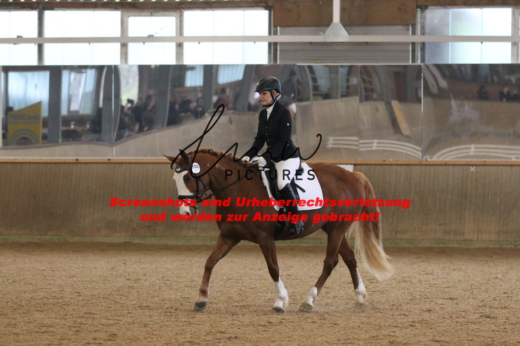 IMG_3655 | lmwpictures - Realisiert mit Pictrs.com