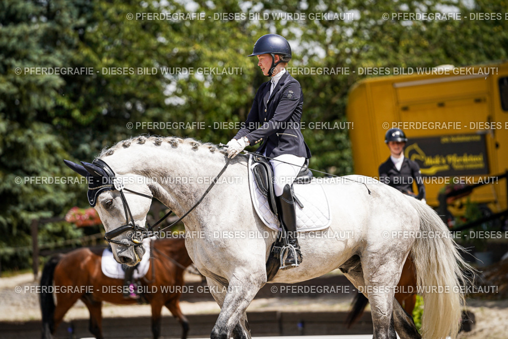 DSC02320 | Pferdegrafie