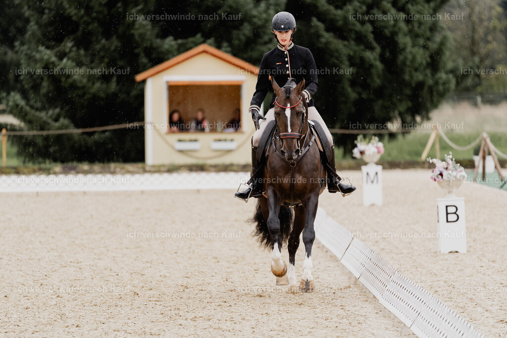 Virginie12FHC2025-8368 | working equitationturnier fotograf videograf stoibphotography marixx film working equitation deutschland reitsport turnierfotografie eventfotografie equestrian events