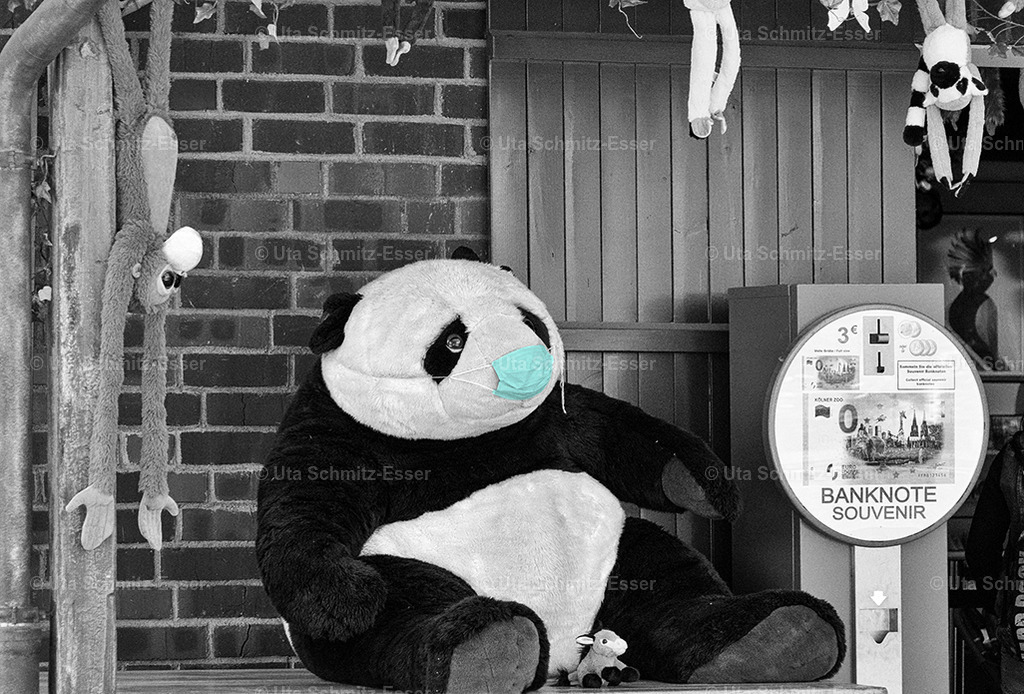 Corona_20 | CEUS Design - Realisiert mit Pictrs.com