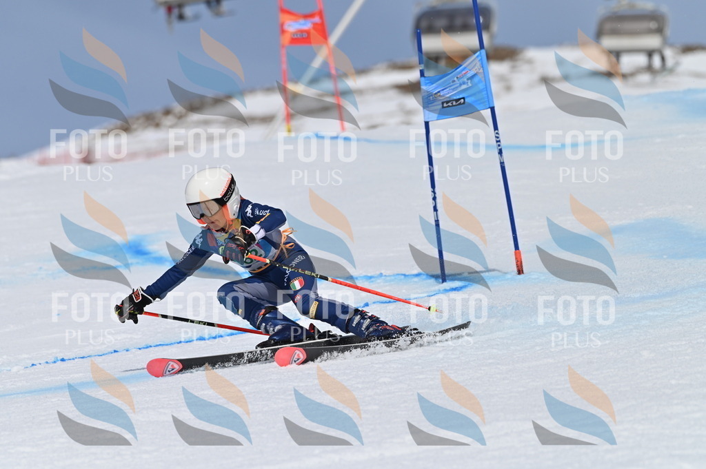 BGV_3574 | holidayphoto