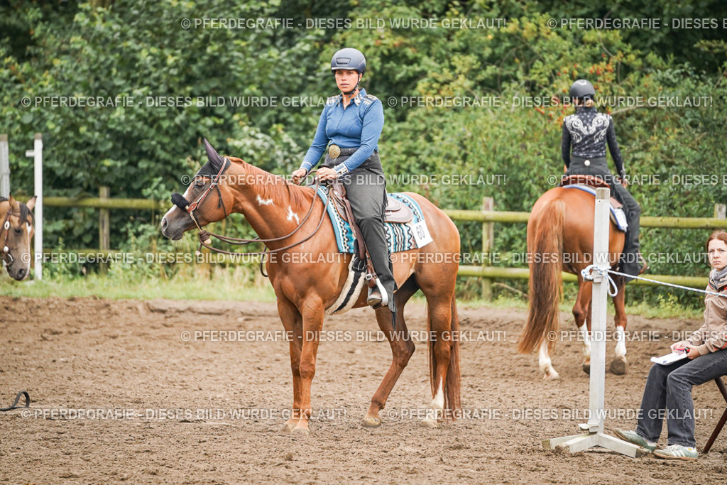 DSC02273 | Pferdegrafie