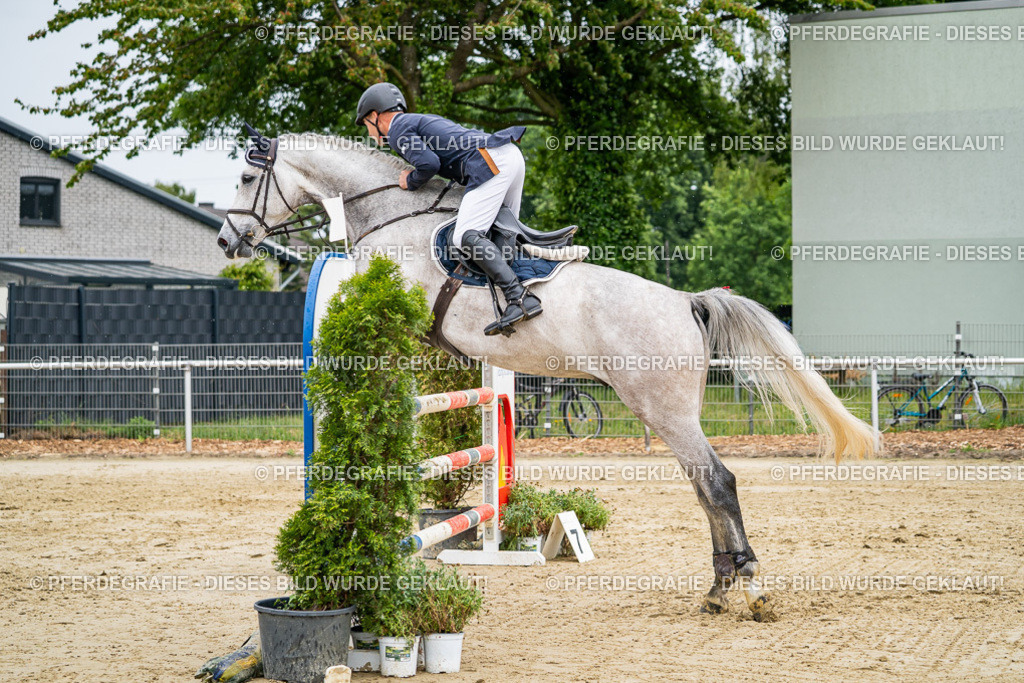 DSC02725 | Pferdegrafie