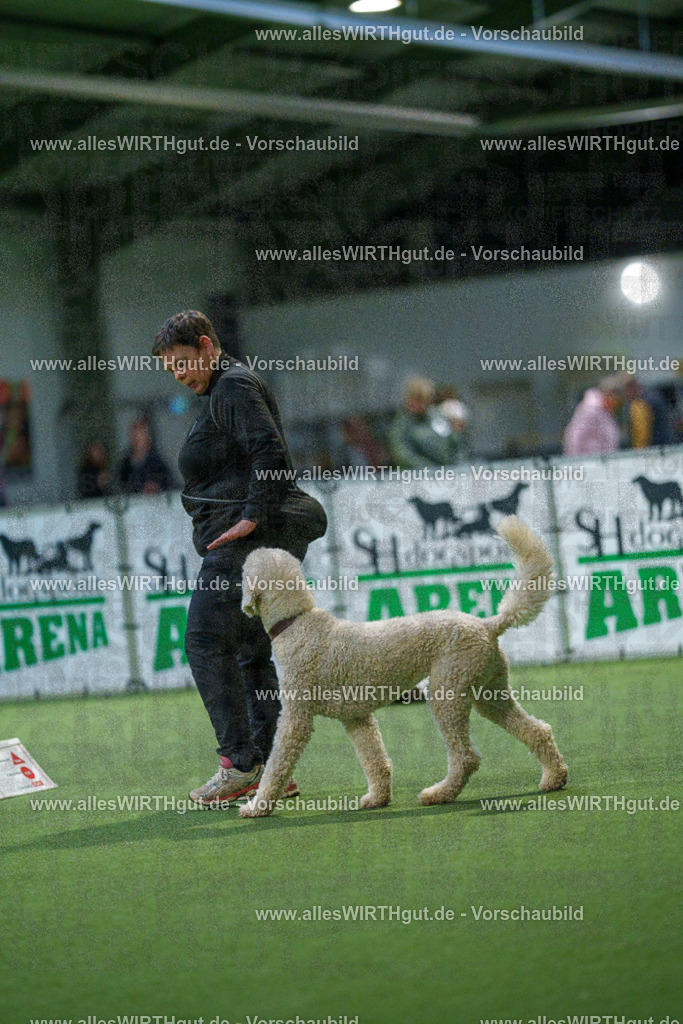7R509884 | Professionelle Tierfotografie in Mönchengladbach von Daniel Wirth (allesWIRTHgut). Liebevolle & natürliche Bilder von Hunden & Katzen für unvergessliche Erinnerungen.