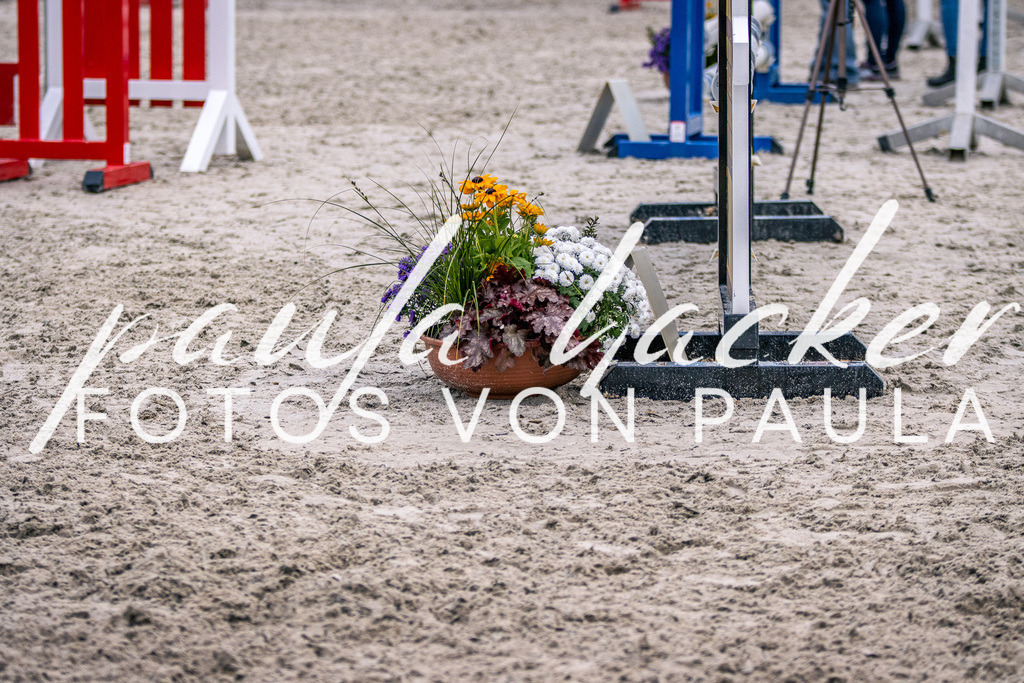 IMG_6044 | Erleben Sie dynamische Sport- und emotionale Tierfotografie in Süddeutschland mit Fotos von Paula. Spezialisiert auf Pferde- und Hundefotografie sowie Sportevents. Kontaktieren Sie mich für einzigartige und ausdrucksstarke Bilder Ihrer besonderen Momente. - Realisiert mit Pictrs.com