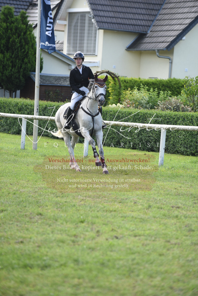 DSC_8992 | Pferde- und Turnierfotografie in Westsachsen. Pferdeportraits, Auftragszeichnungen und intuitive Kunst.