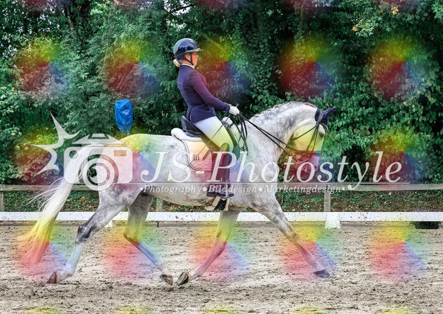 20250727_Dressurprfg_Kl.Mx-150 | JS-Photostyle - Sport-/Portrait- & Eventfotografie