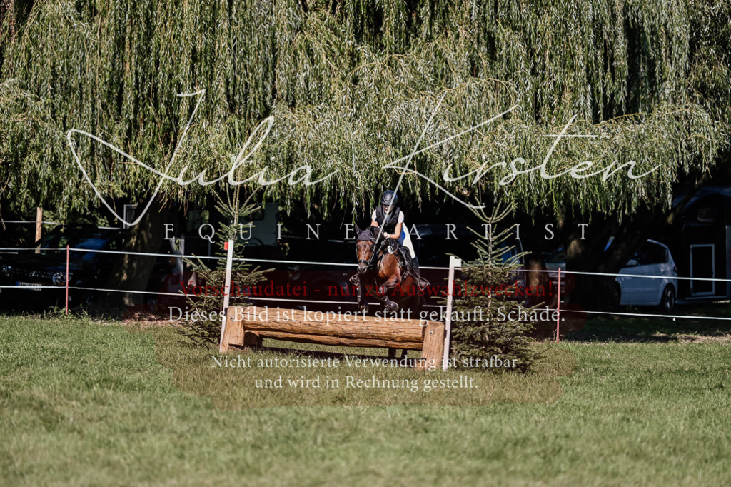 DSC_3290 | Pferde- und Turnierfotografie in Westsachsen. Pferdeportraits, Auftragszeichnungen und intuitive Kunst.