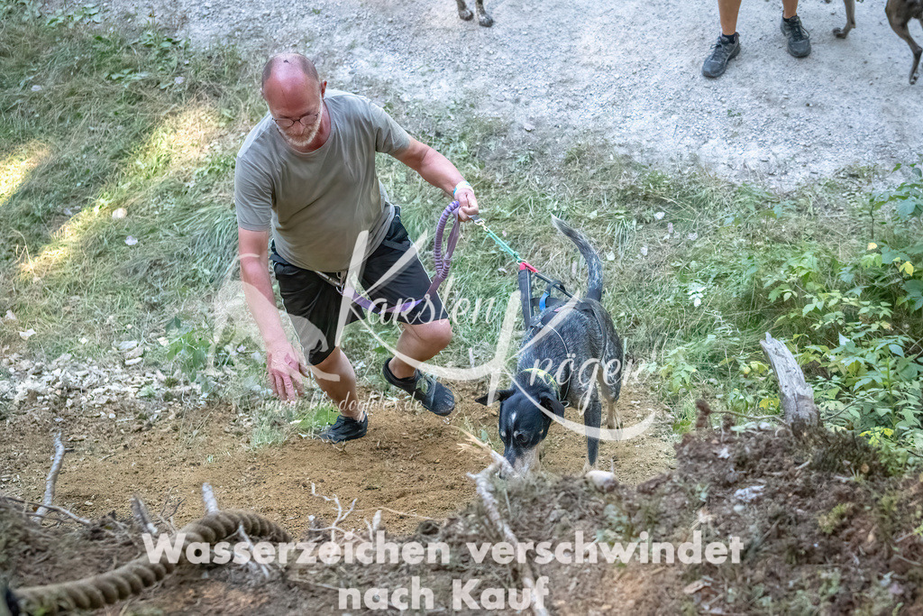 1140_ZZ91330 | kk-dogfotos