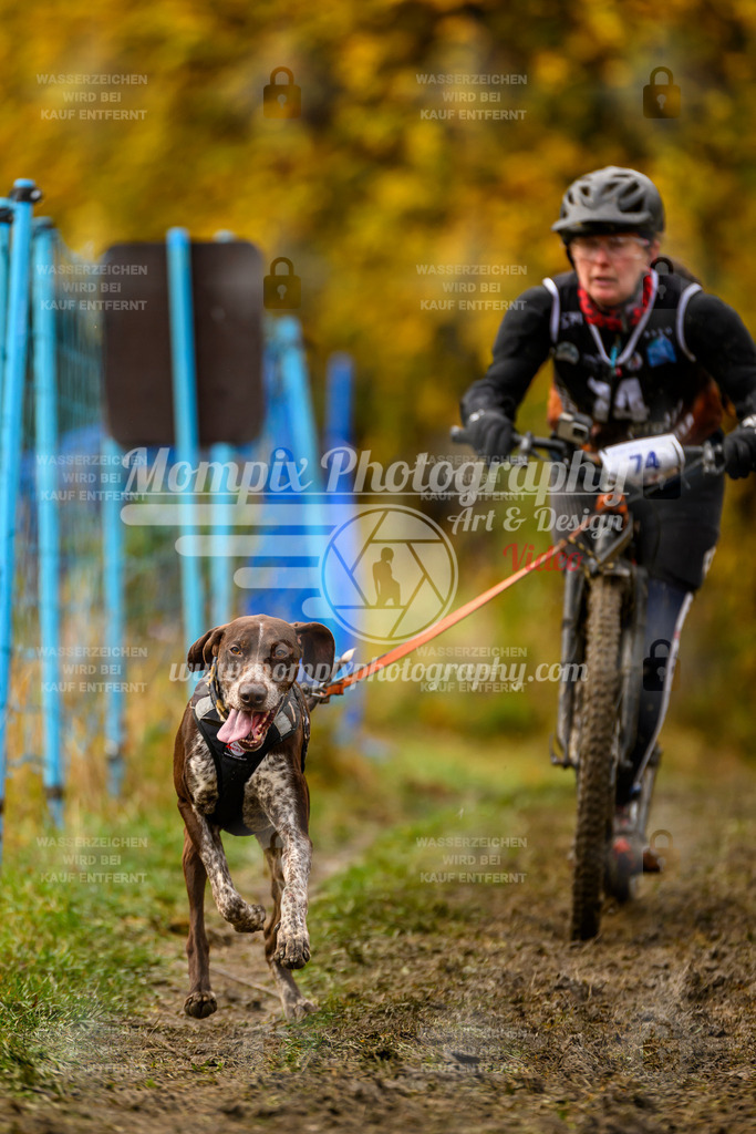 MompixPhotography_ICF_WC_2024_SA_DS_-180 | PayLife
