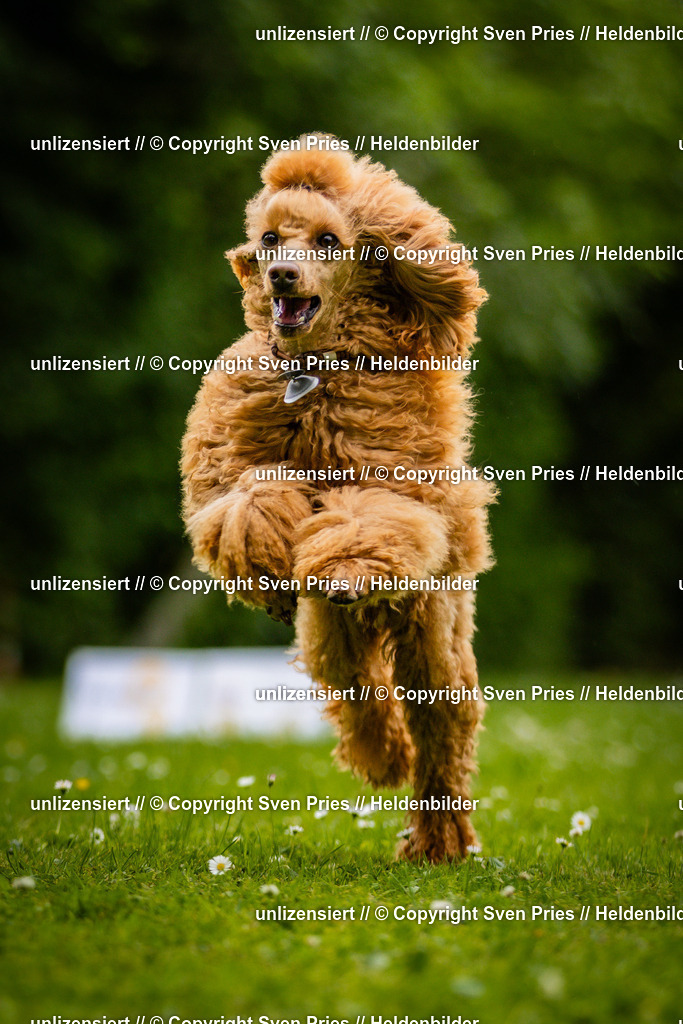 Sven Pries | 2025-05-29 - Pudelrennen KA-Durlach - Realisiert mit Pictrs.com