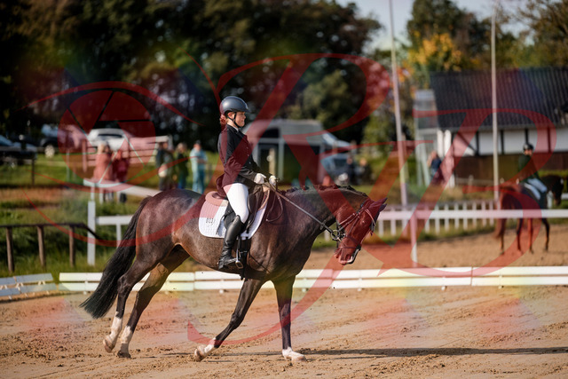 2026_10_03_Siefer-Hof_113523_Z63_21224378 | Professionelle Reitsport-, Turnier- und Eventfotografie von Robert Broda. Galerien mit ausgewählten und bearbeiteten Bildern direkt online ansehen und bestellen.