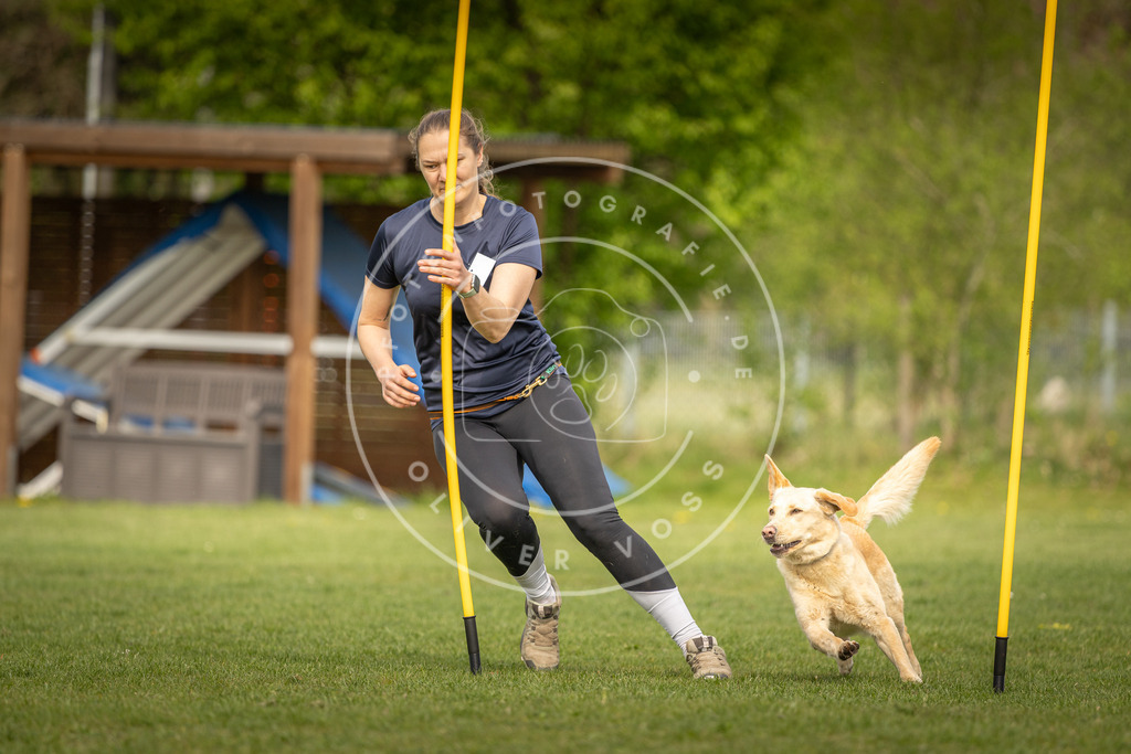 Pfotenfotografie_DV3A5100 | Hundefotografie, Tierfotograf, Pfotenfotografie, Fotoshooting Hund, Hunde Portrait, Hundesport, Hundeportraits, Heideshooting, Hunde, Sportfotograf, Hundefotograf, Turnierhundsport, THS,  - Realisiert mit Pictrs.com