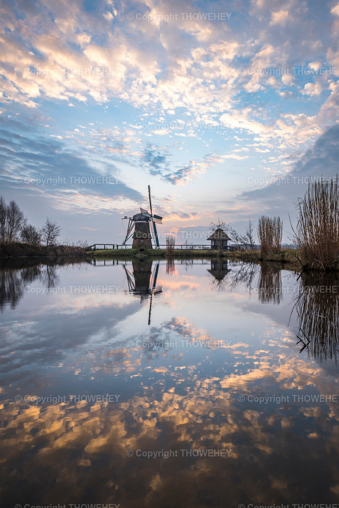 _1029009 | thowehey - Realisiert mit Pictrs.com