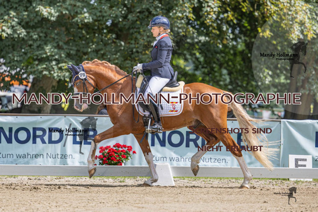 26.725 D2 49 (33 von 854) | mandyhollmannphotographie