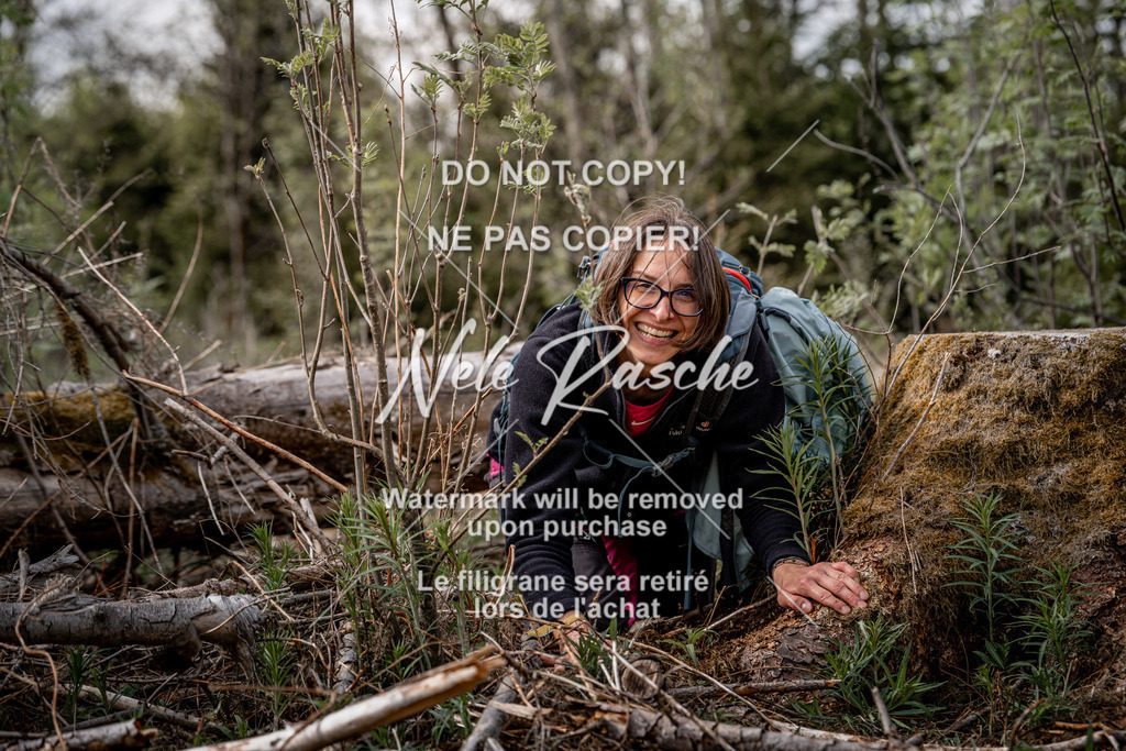 nelerasche_TheGame2026_SaDangerZone_198 | nelerasche