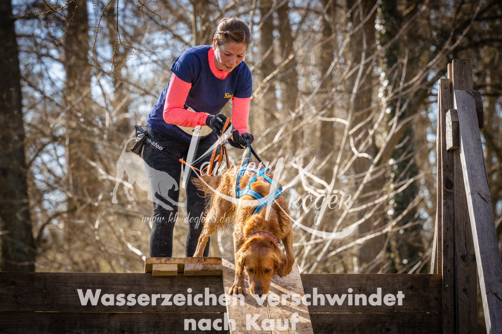 0917_ZZ94666 | kk-dogfotos