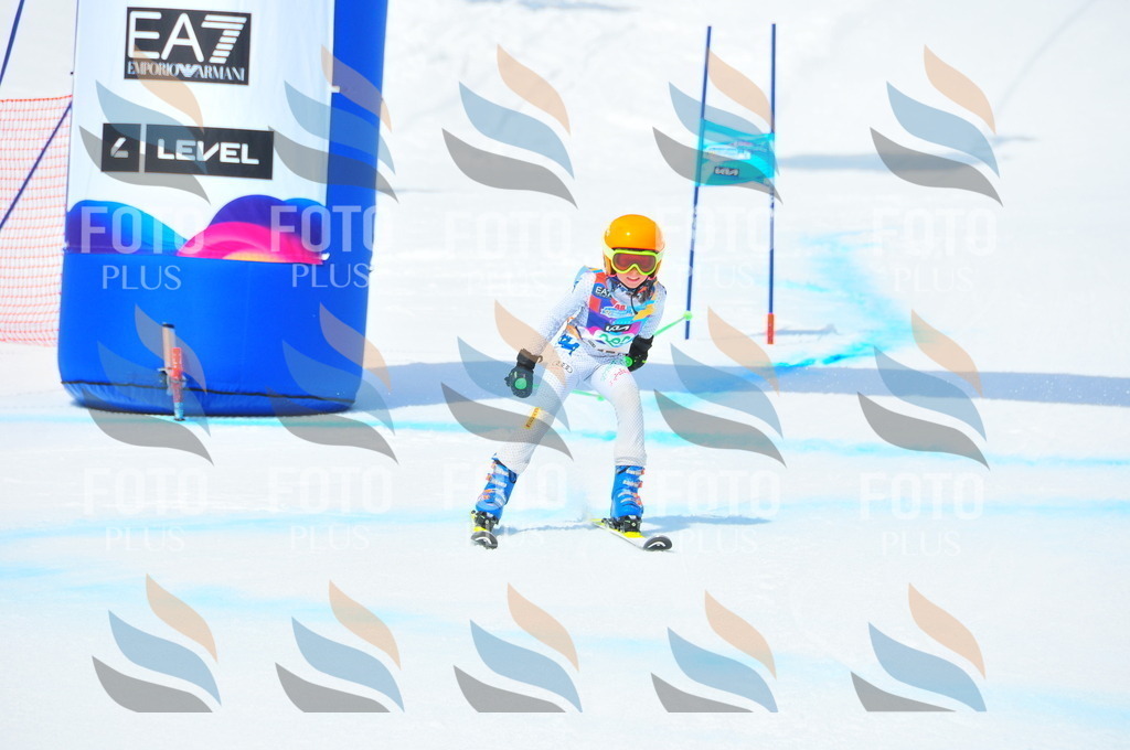 DSC_2962 | holidayphoto