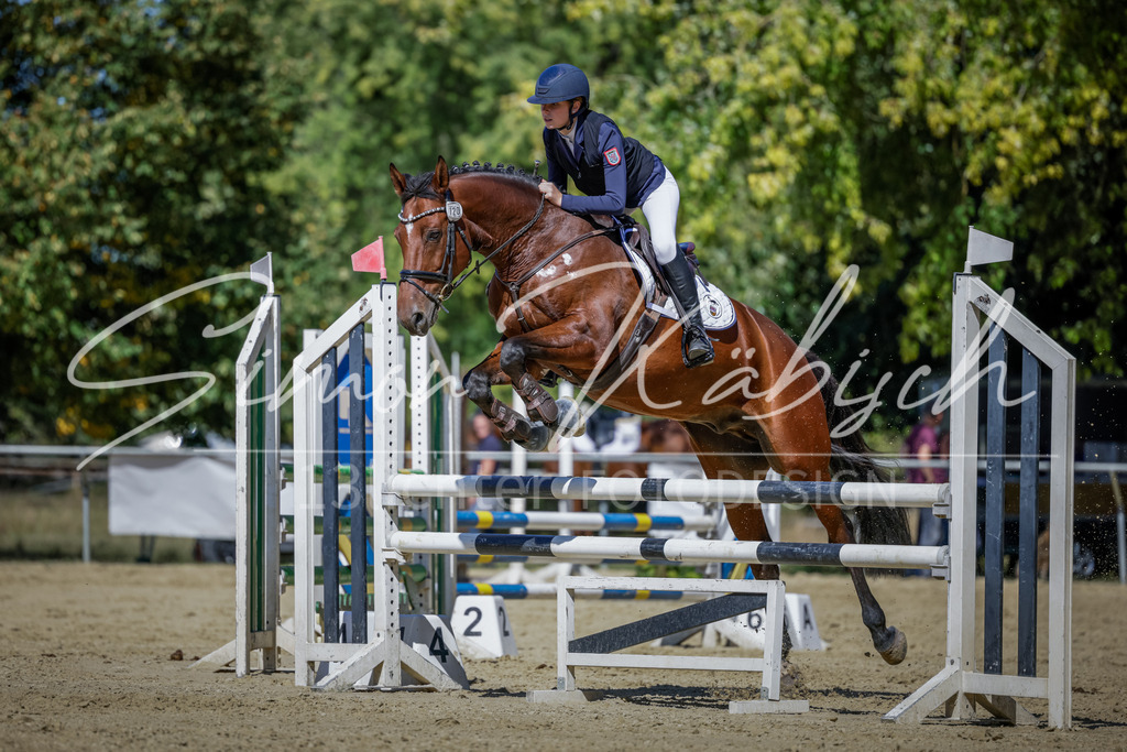 20250906-_3LI4116 | Tierfotografie Pferde, Hunde, Katzen, Haustiere.
Turnierfotografie Reitturniere, Reiten, Springreiten, Dressur in Hanau, dem Main-Kinzig-Kreis und dem Rhein-Main- Gebiet um Frankfurt