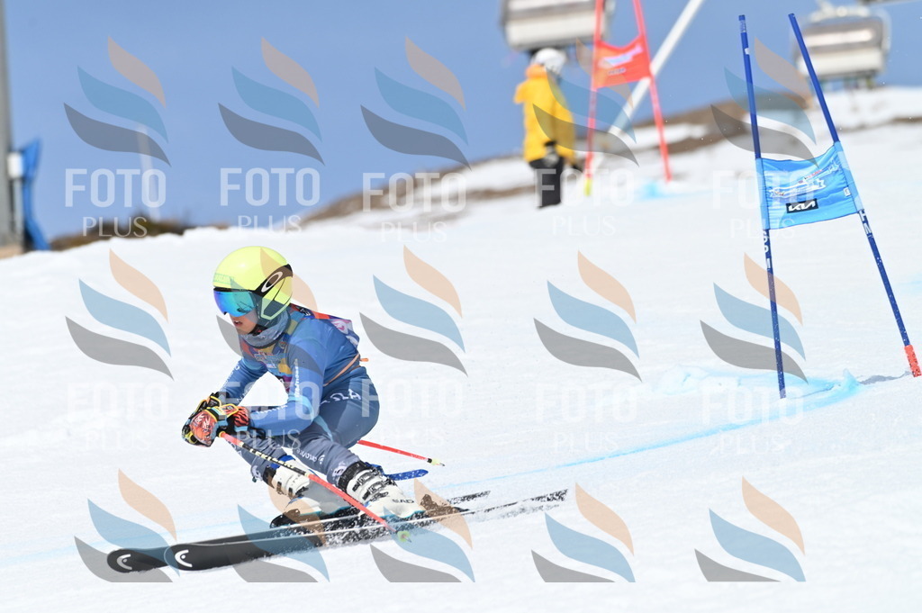 BGV_3291 | holidayphoto